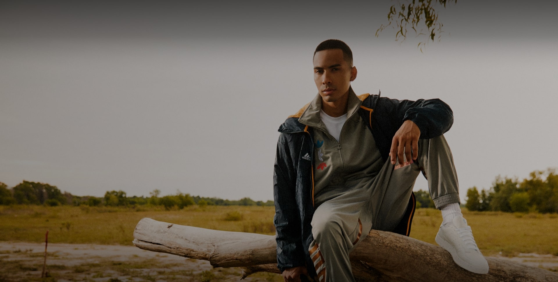 Terms and Conditions